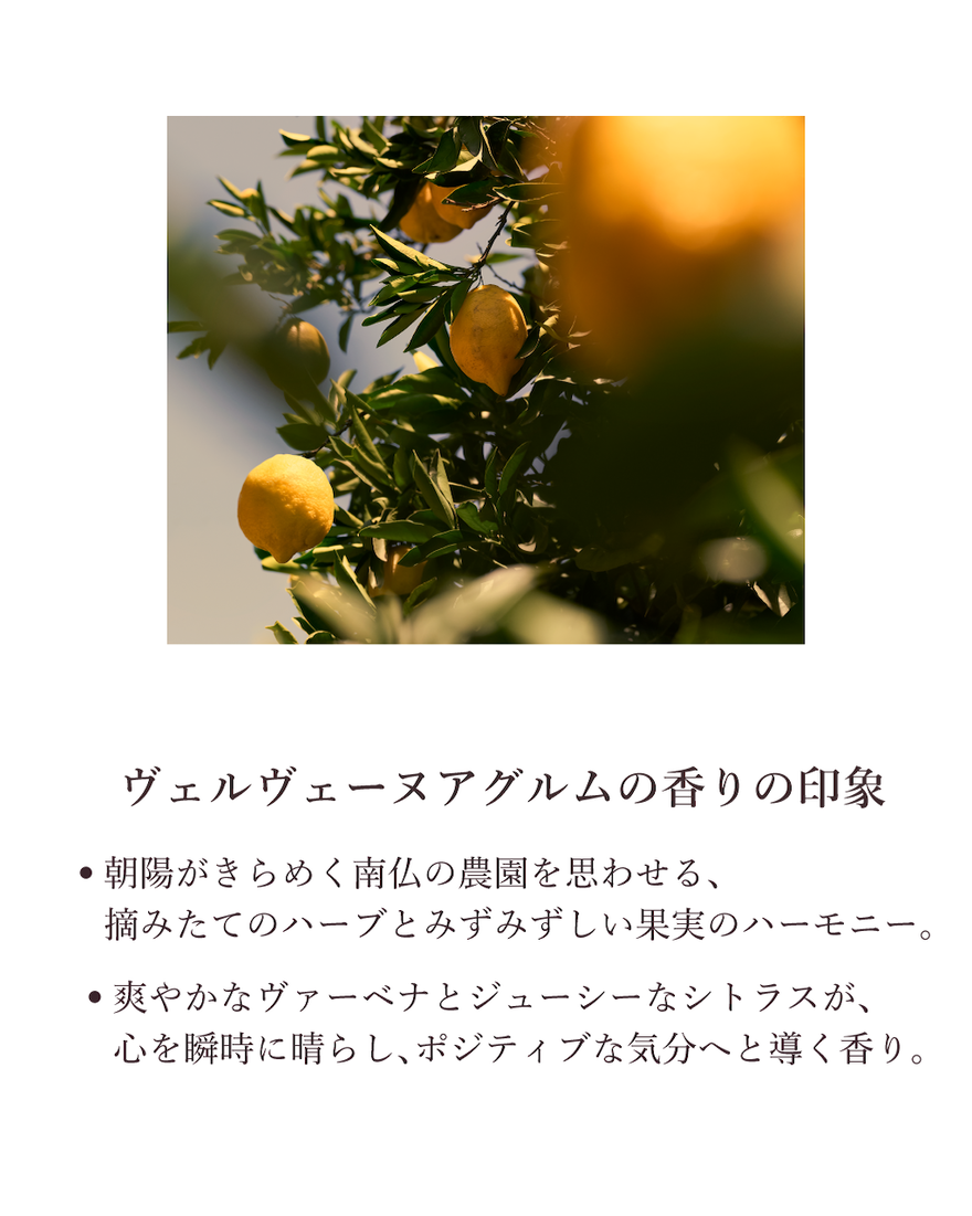 4件中4番目 ヴェルヴェーヌアグルム[シトラスヴァーベナ] パフュームド ハンドクリーム, , JPRECT
