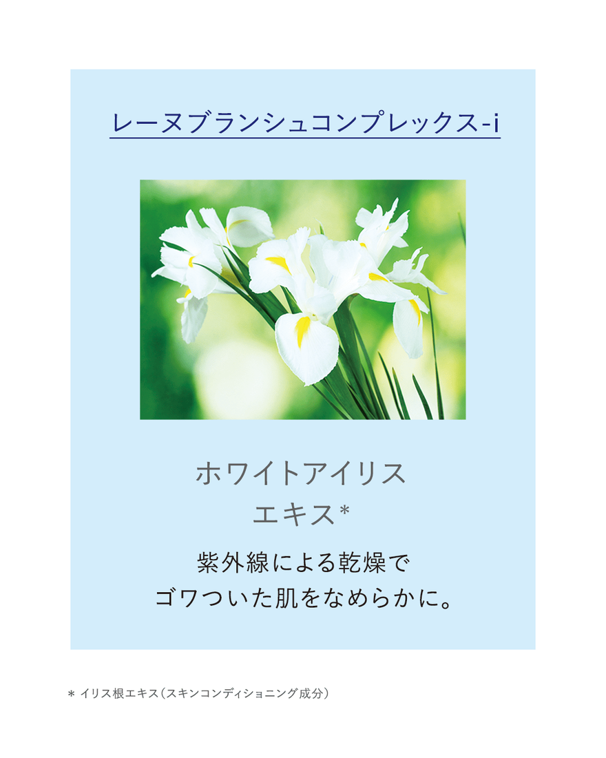 断捨離中☆L'OCCITANEレーヌブランシュ ベーシックセット レーヌブランシュ ベーシック L'OCCITANE（ロクシタン）の通販