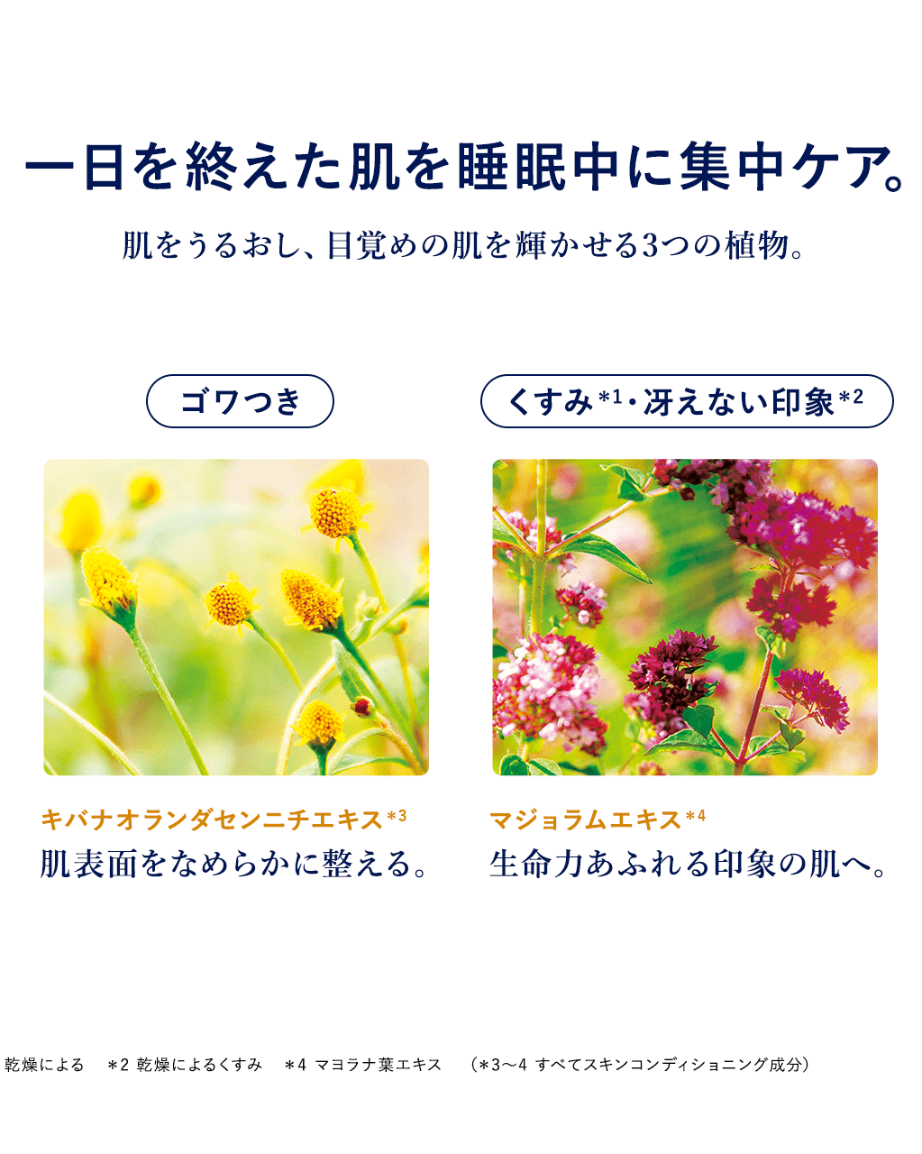 F1112A ロクシタン イモーテル オーバーナイト リセット セラム (美容液) 30ml【期限がある場合や商品状態は写真にてご確認下さい】 イモーテル オーバーナイトリセットセラム 30mL｜Last Chance