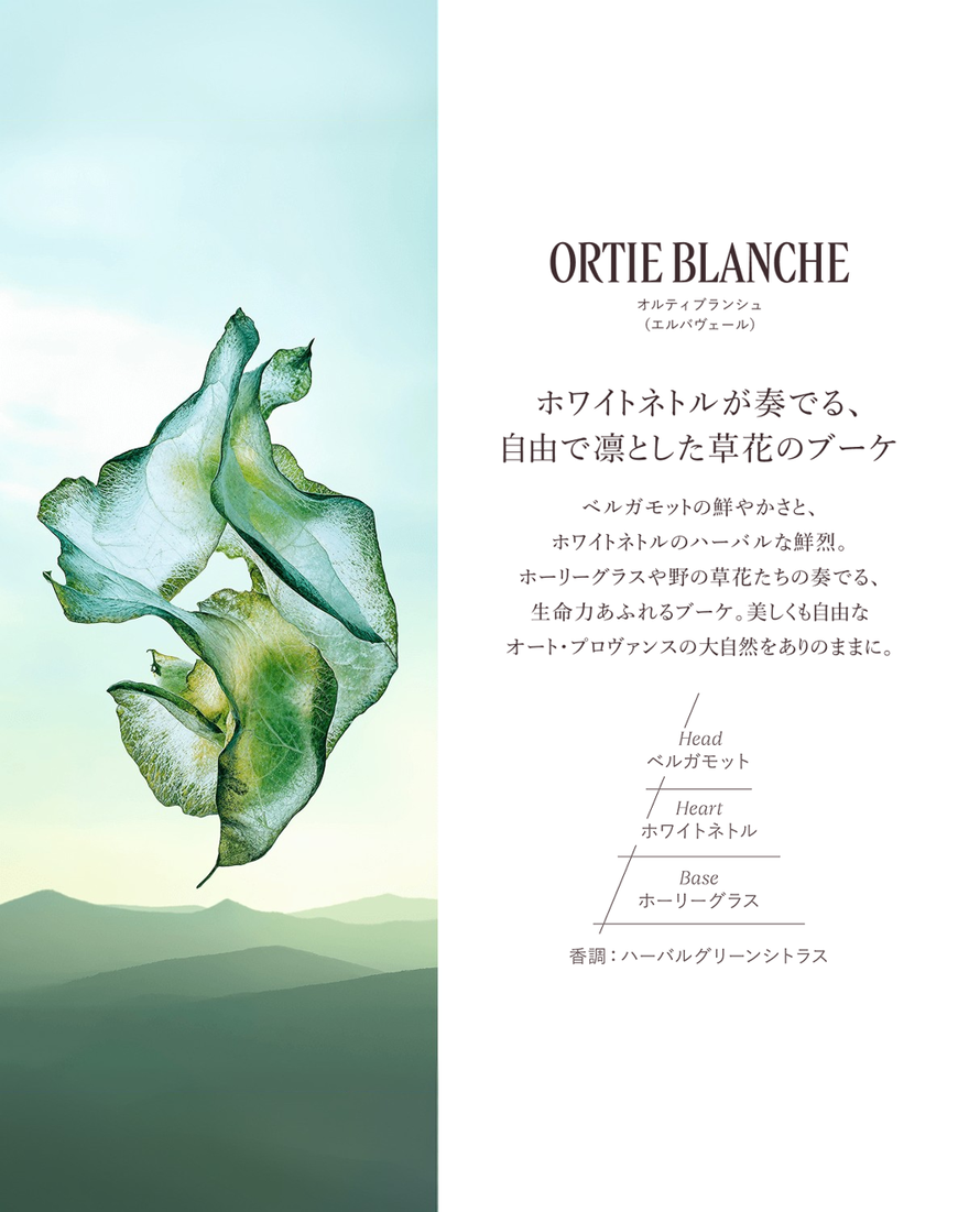 エルバブランシュ　オードトワレ50ml シャワージェルセット ワンマイルのお出かけにぴったり「エルバブランシュ」シリーズ2021年1