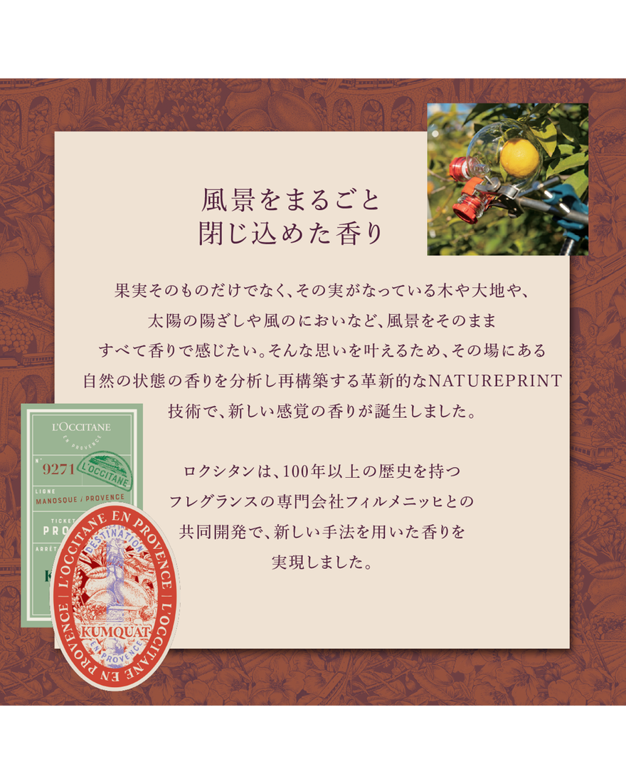 ルミンシアナ アーモンド ハンドクリーム 30mL｜Last Chance