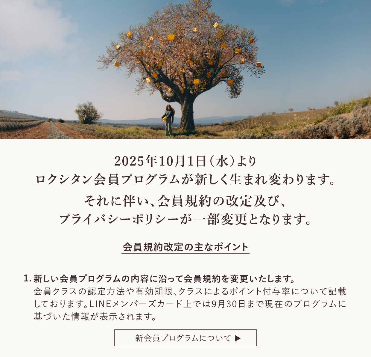 ロクシタンからのお知らせ