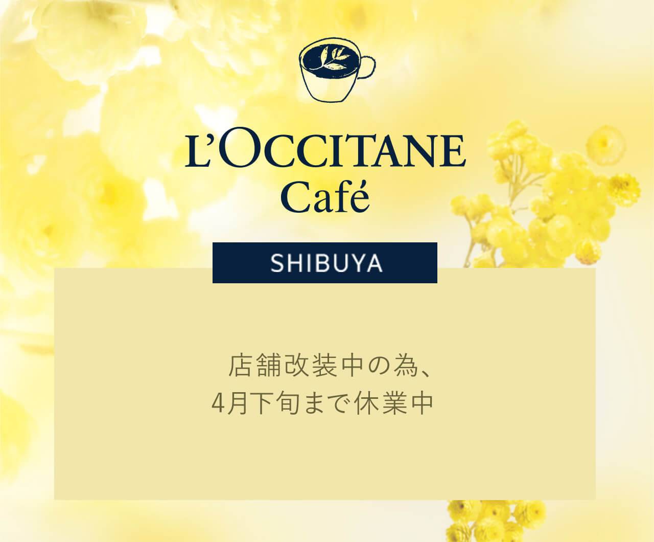 ロクシタンカフェ｜ロクシタン公式通販