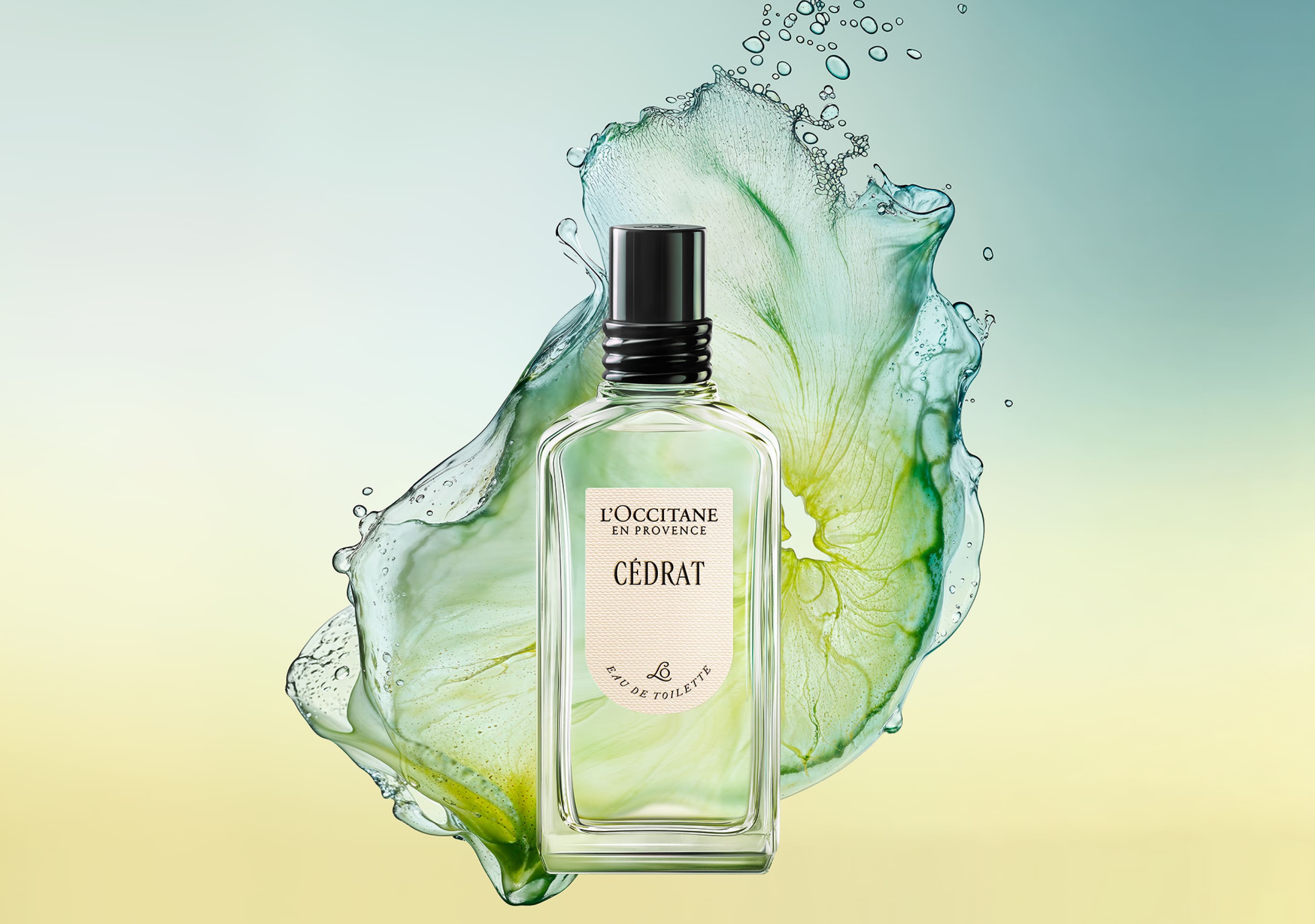 【数量限定】L'OCCITANE エルバブランシュ シークレットコンプリート 数量限定】L'OCCITANE エルバブランシュ シークレットコンプリート