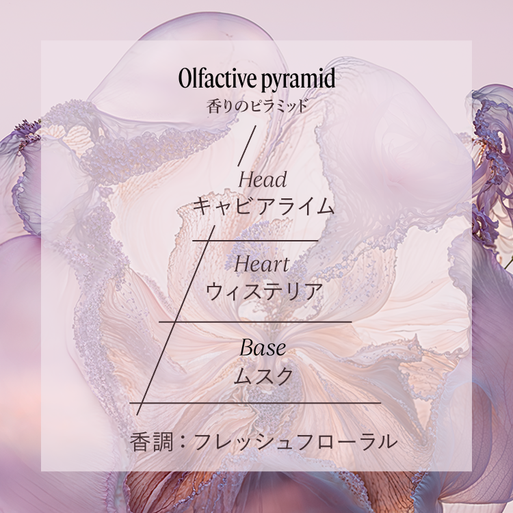 L'Occitane GLYCINE 50ml ロクシタン　グリシーヌ グリシーヌ - ART OF SCENT(ロクシタンのフレグランス) | L