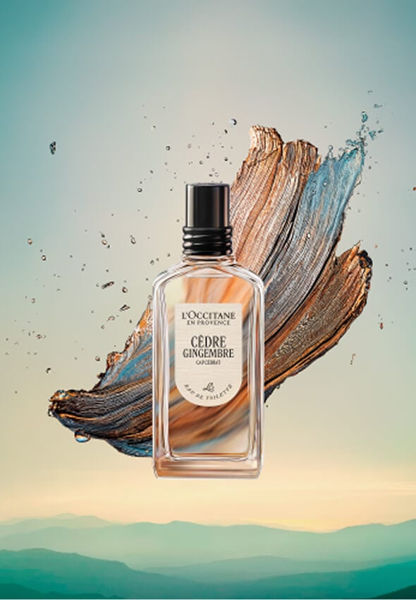 CÈDRE GINGEMBRE