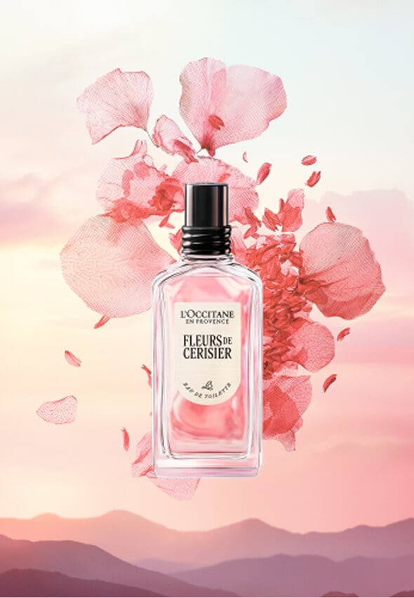 FLEURS DE CERISIER