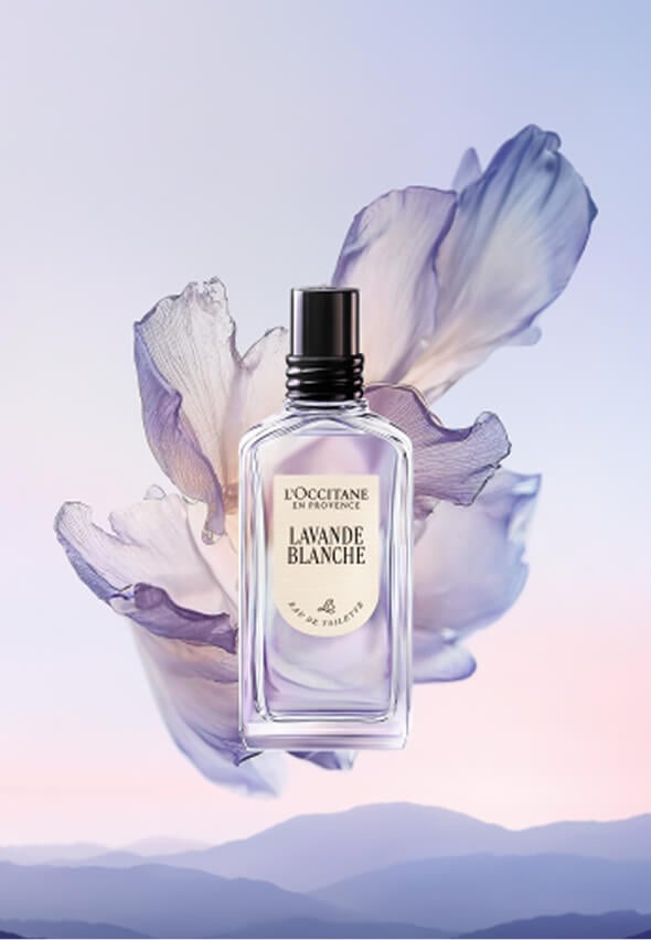 LAVANDE BLANCHE