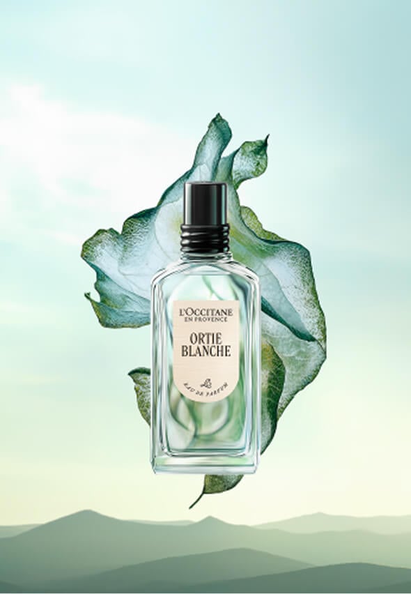 ORTIE BLANCHE