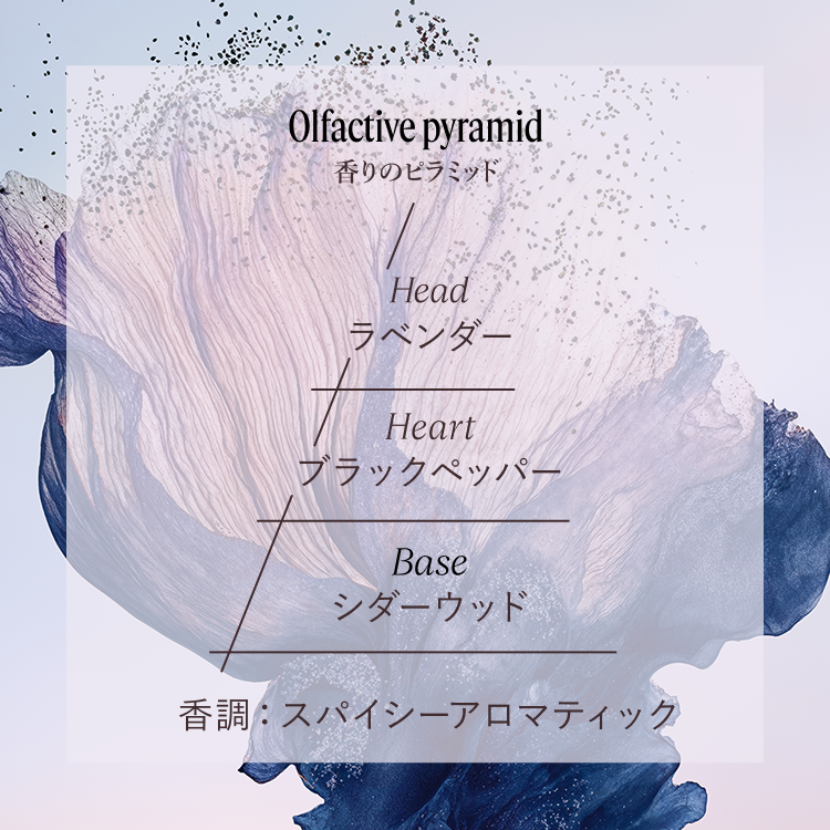 Olfactive pyramid 香りのピラミッド