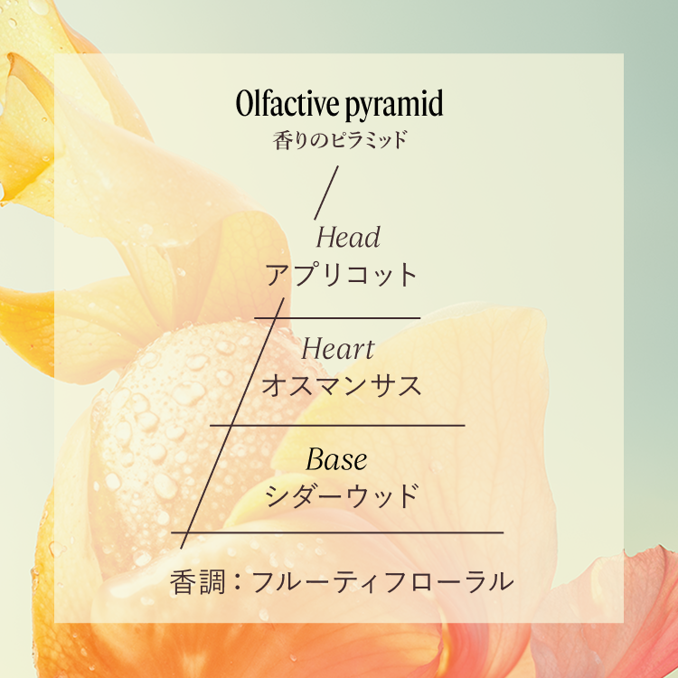 オスマンサスアブリコ（オスマンサス） - ART OF SCENT(ロクシタンの