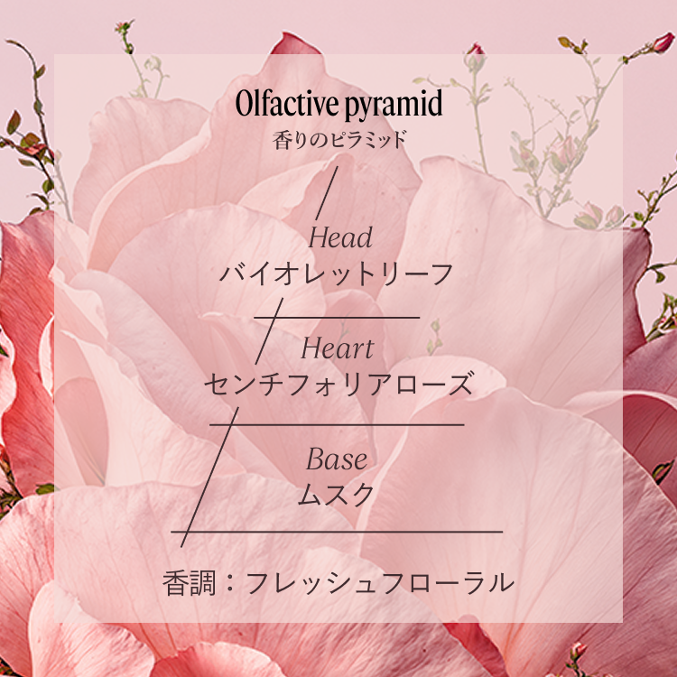 ART OF SCENT】ローズ｜ロクシタン公式通販