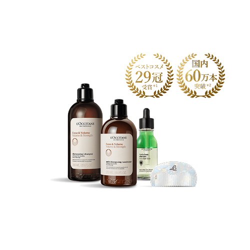 2025年最新コフレでとっておきなホリデーを過ごして