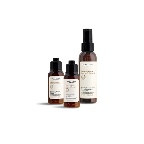 ロクシタンで贈るホリデーギフト｜ロクシタン公式通販