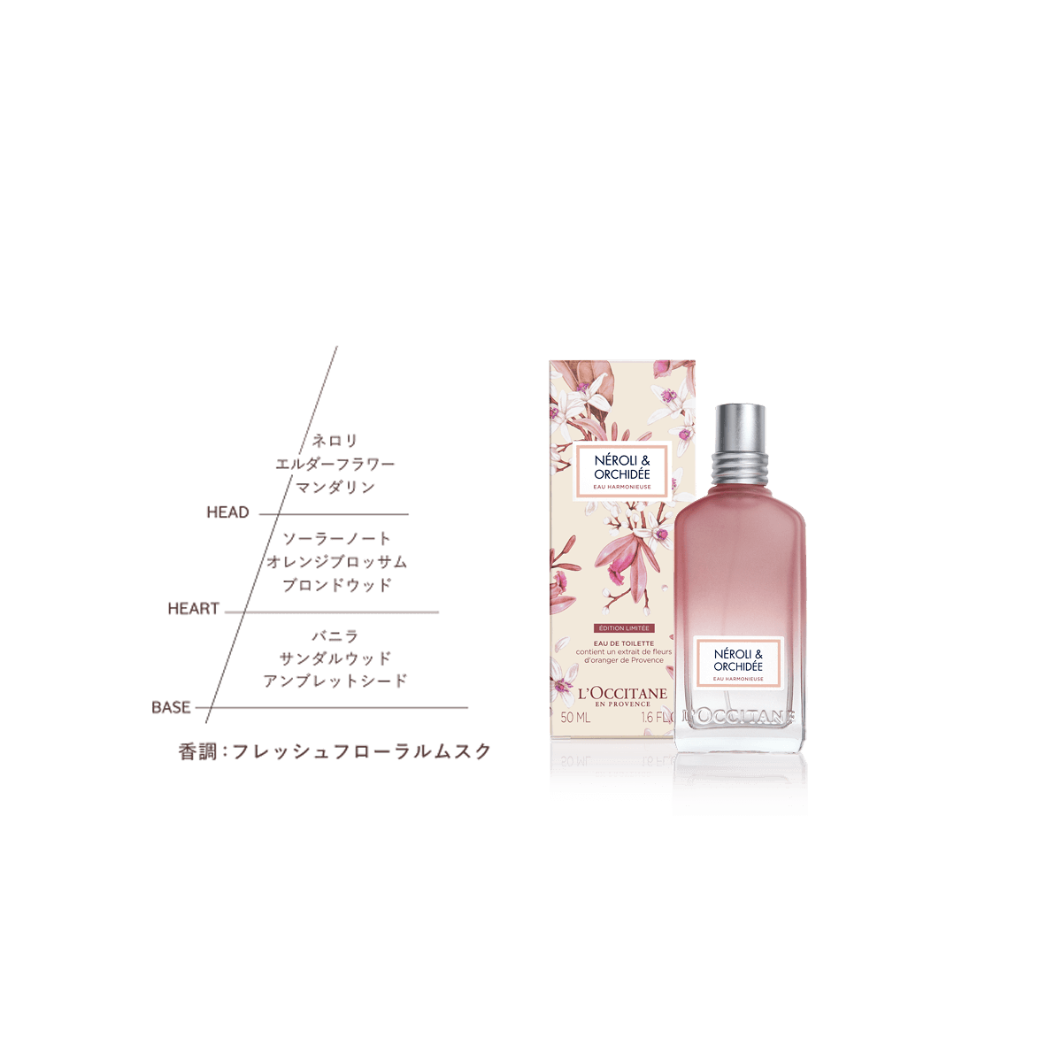 L’OCCITANE ロクシタン　詰め合わせ セット・キット品｜ハンドケア｜ロクシタン公式通販