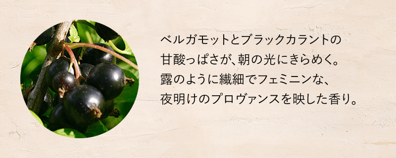 ブラックカラント