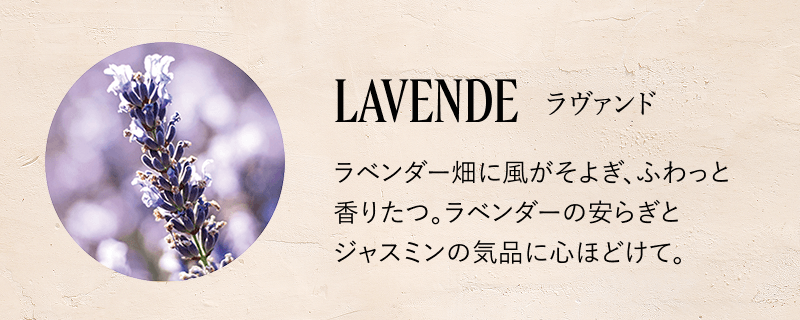 ラヴァンド
