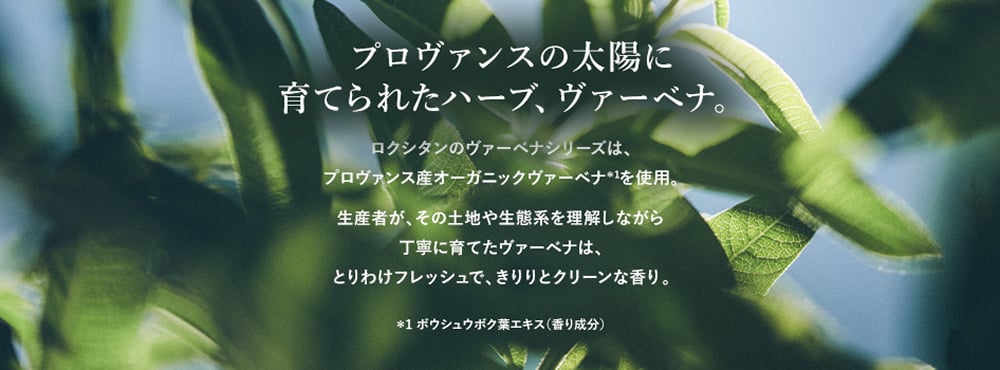 定番ヴァーベナ｜ロクシタン公式通販