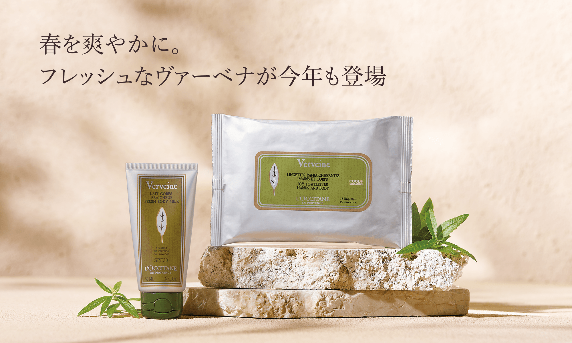 定番ヴァーベナ｜ロクシタン公式通販