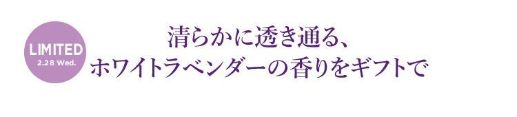清らかに透き通る、ホワイトラベンダーの香りをギフトで