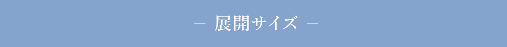 展開サイズ