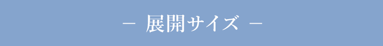 展開サイズ
