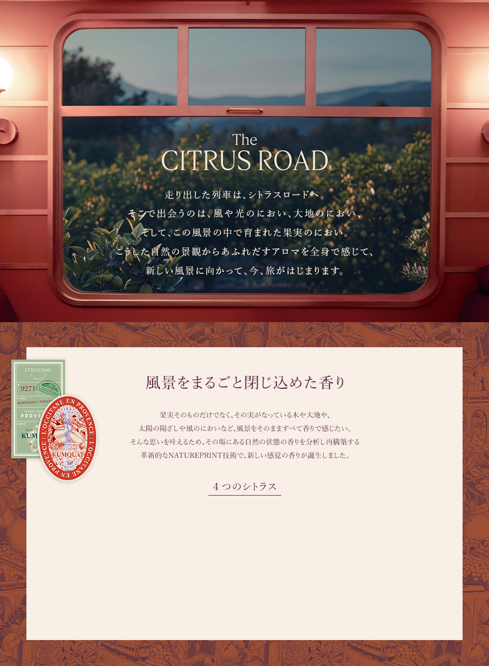 The CITRUS ROAD