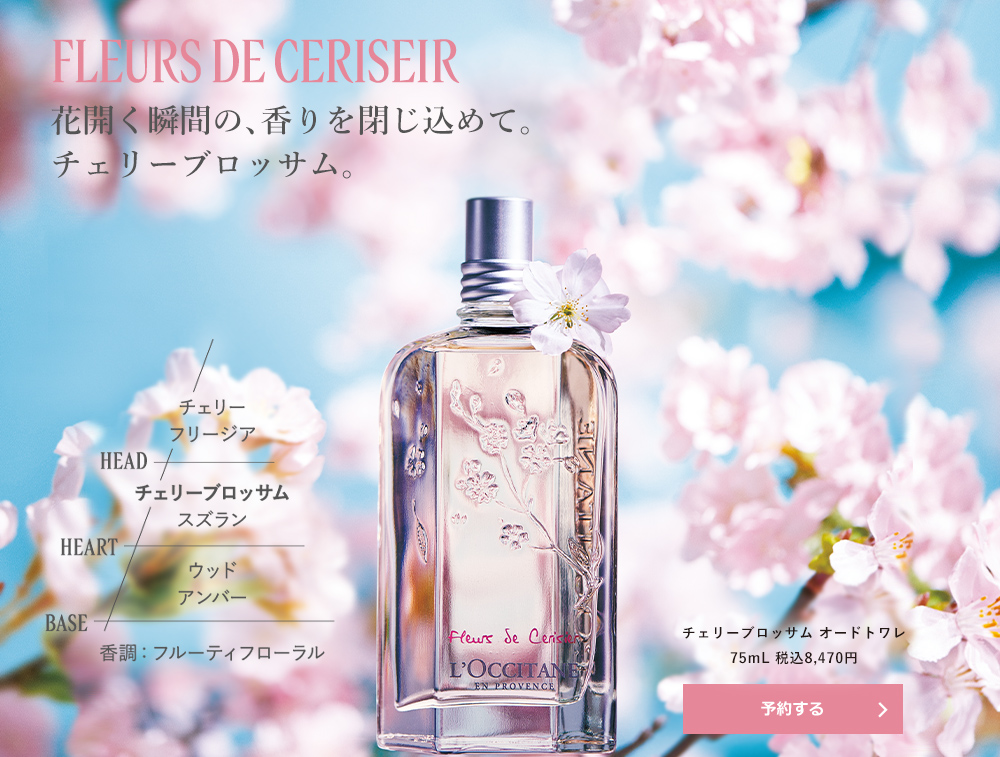 FLEURS DE CERISEIR