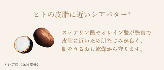 ヒトの皮脂に近いシアバター