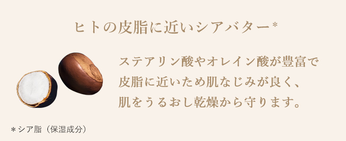 ヒトの皮脂に近いシアバター