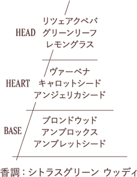 香調：アロマティックシトラス