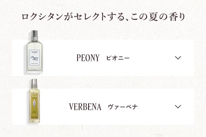数量限定】レ・クラシック｜ロクシタン公式通販