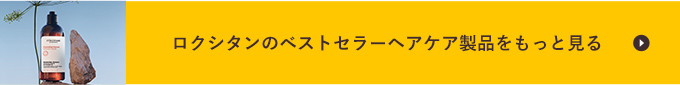 ロクシタンのベストセラーヘアケア製品をもっと見る