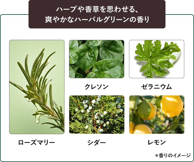ハーブや香草を思わせる、爽やかなハーバルグリーンの香り