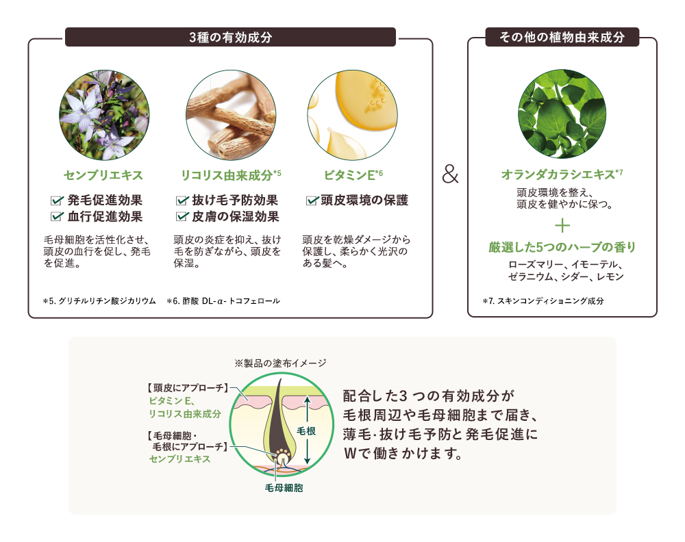 成分
