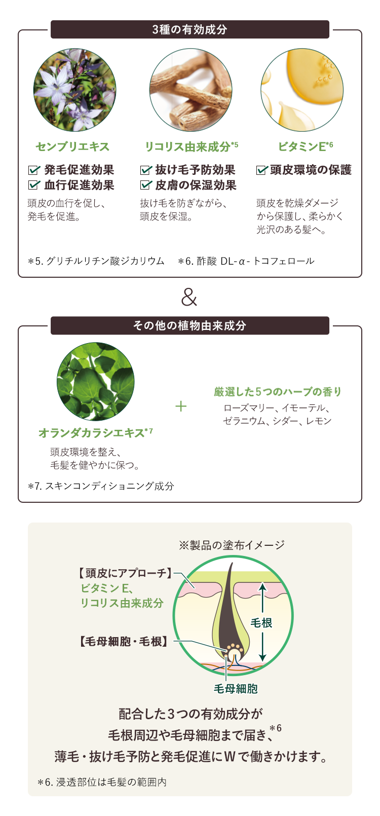 成分