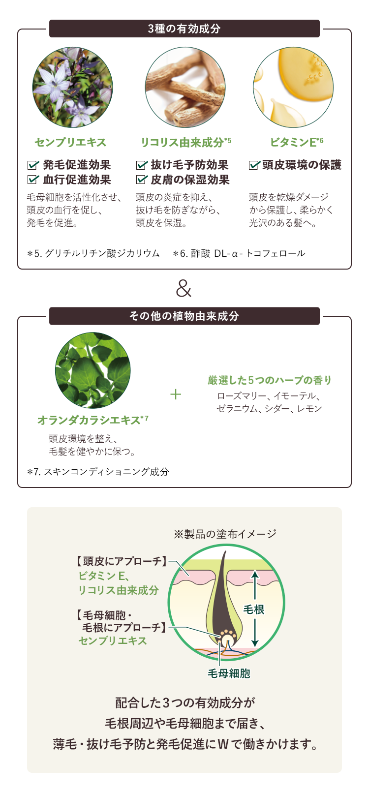 成分