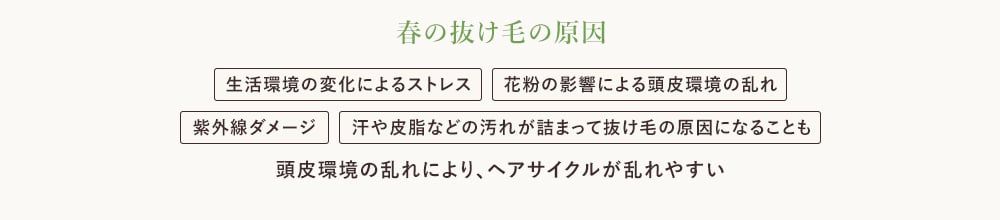 春の抜け毛の原因