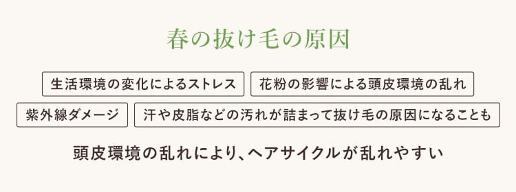 春の抜け毛の原因