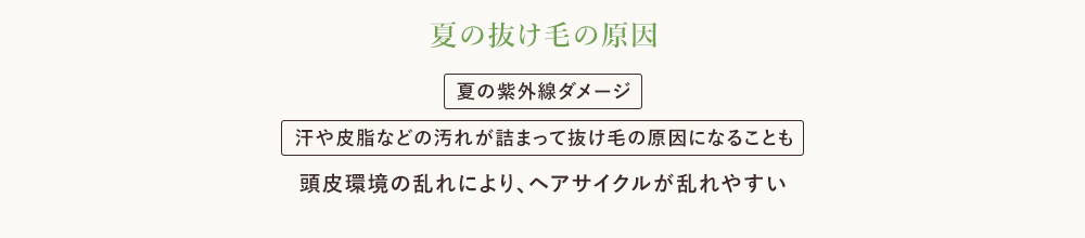 春の抜け毛の原因