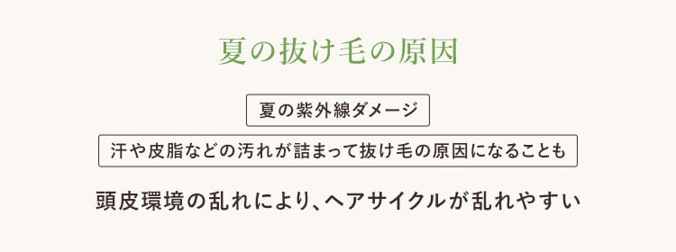 春の抜け毛の原因