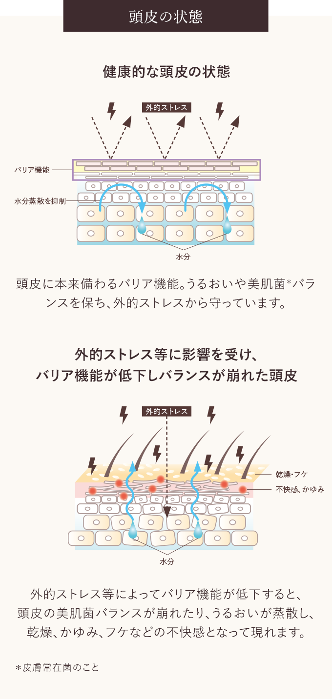 頭皮のストレスシグナルを抑える、頭皮用美容液。｜ロクシタン公式通販
