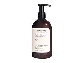 L'OCCITANE シャンプー コンディショナー スカルプトリートメント 頭皮のストレスシグナルを抑える、頭皮用美容液。｜ロクシタン公式通販