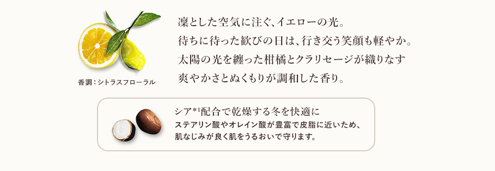 ルミエール　ディヴァール