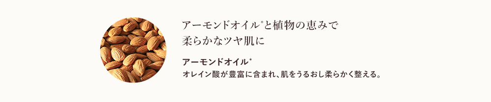 ニュイ　フェスティブ