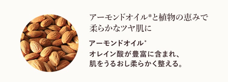 ニュイ　フェスティブ