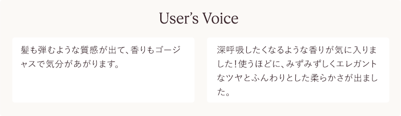 User’s Voice