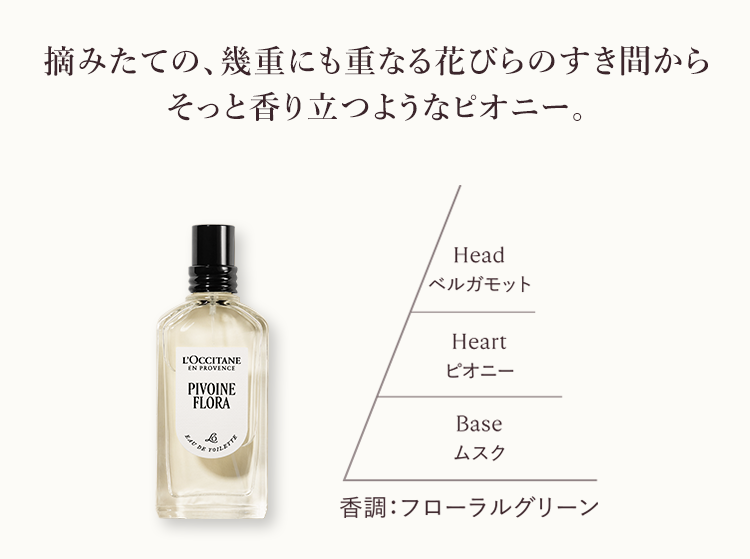 カリテコンフォート｜ロクシタン公式通販