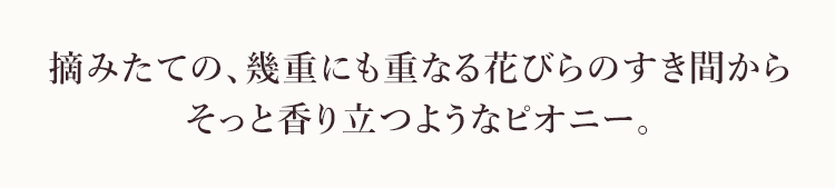 摘みたての、幾重にも重なる花びらのすき間からそっと香り立つようなピオニー。