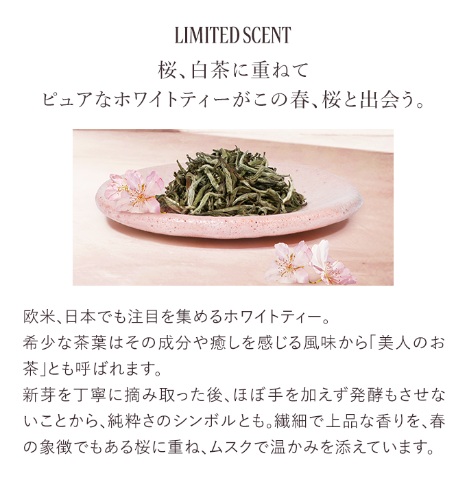 数量限定】テ・ブラン サクラ｜ロクシタン公式通販